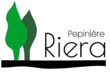 vente de plantes et d'arbres à Aix en Provence 